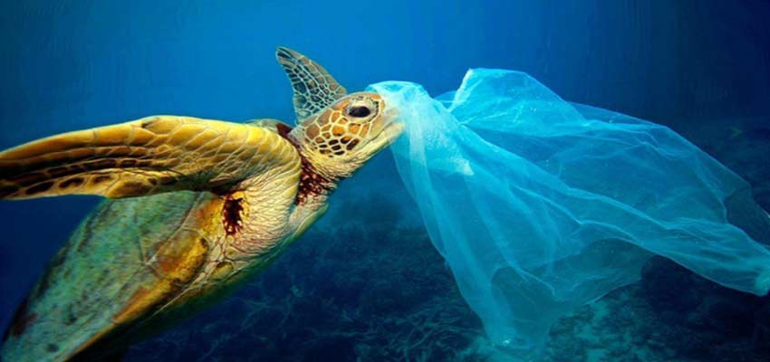 کشورهای جهان برای مقابله با پلاستیک چه کردند؟