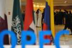 امارات توافق با عربستان در اوپک پلاس را تکذیب کرد