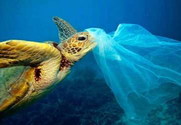 کشورهای جهان برای مقابله با پلاستیک چه کردند؟